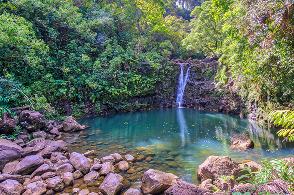 Maui waterfall