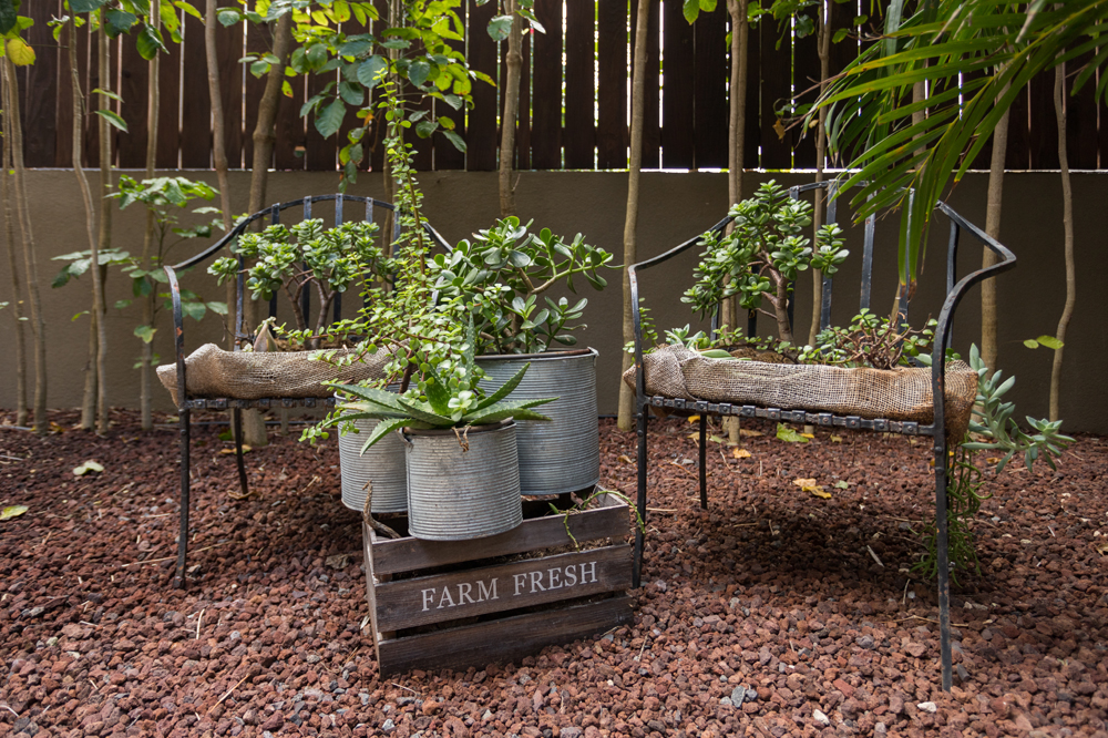 Maui Wellness Retreat Farm Fresh Food