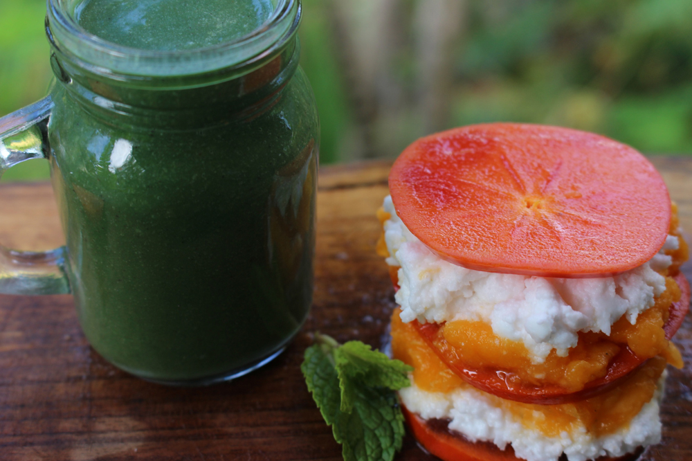 Maui Wellness Retreat Raw Foods Smoothie